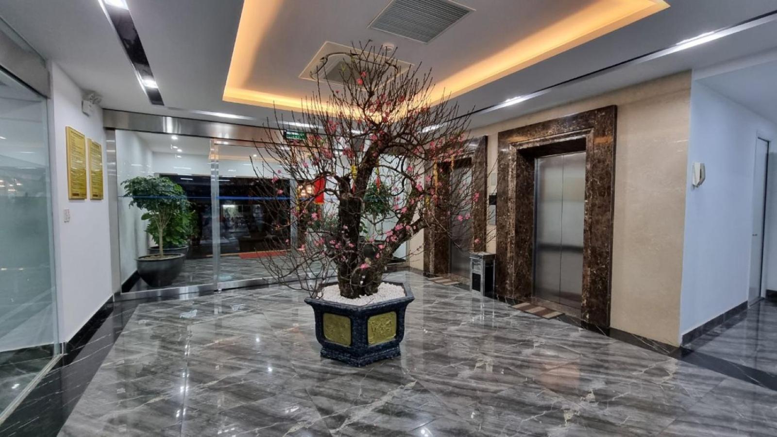 Phong Lan Apartments ハイフォン エクステリア 写真